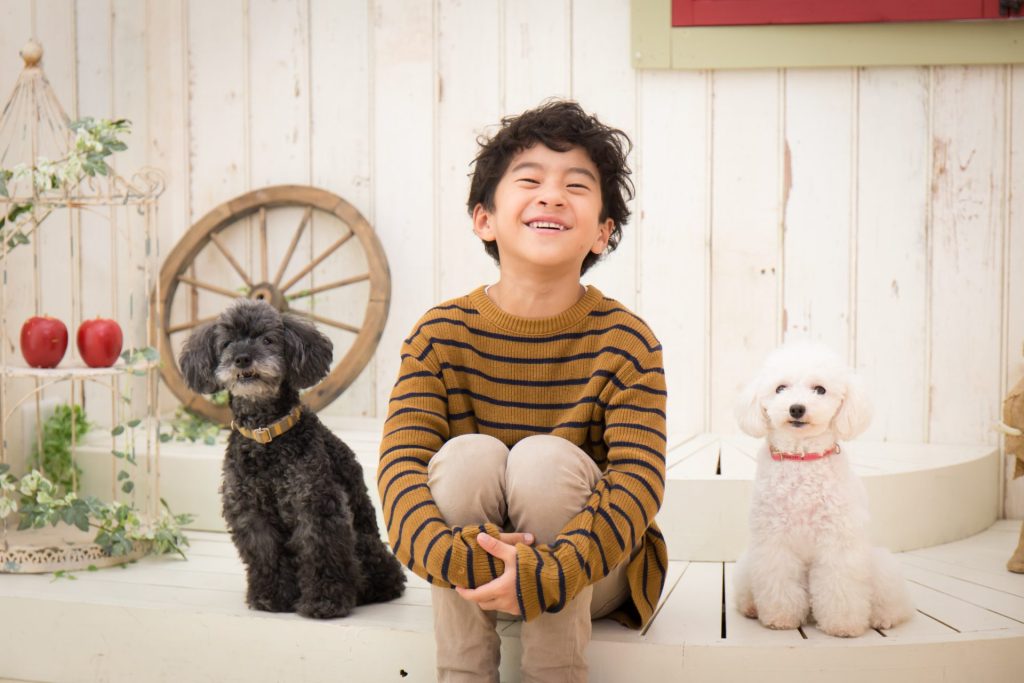 犬と子供